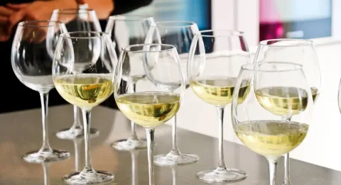 Imagen de la noticia: La Diputación convoca los premios a los mejores vinos con DOP de Málaga