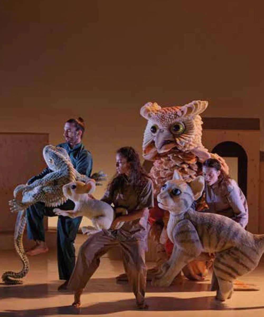 Tododanza - The cat who wanted to change history