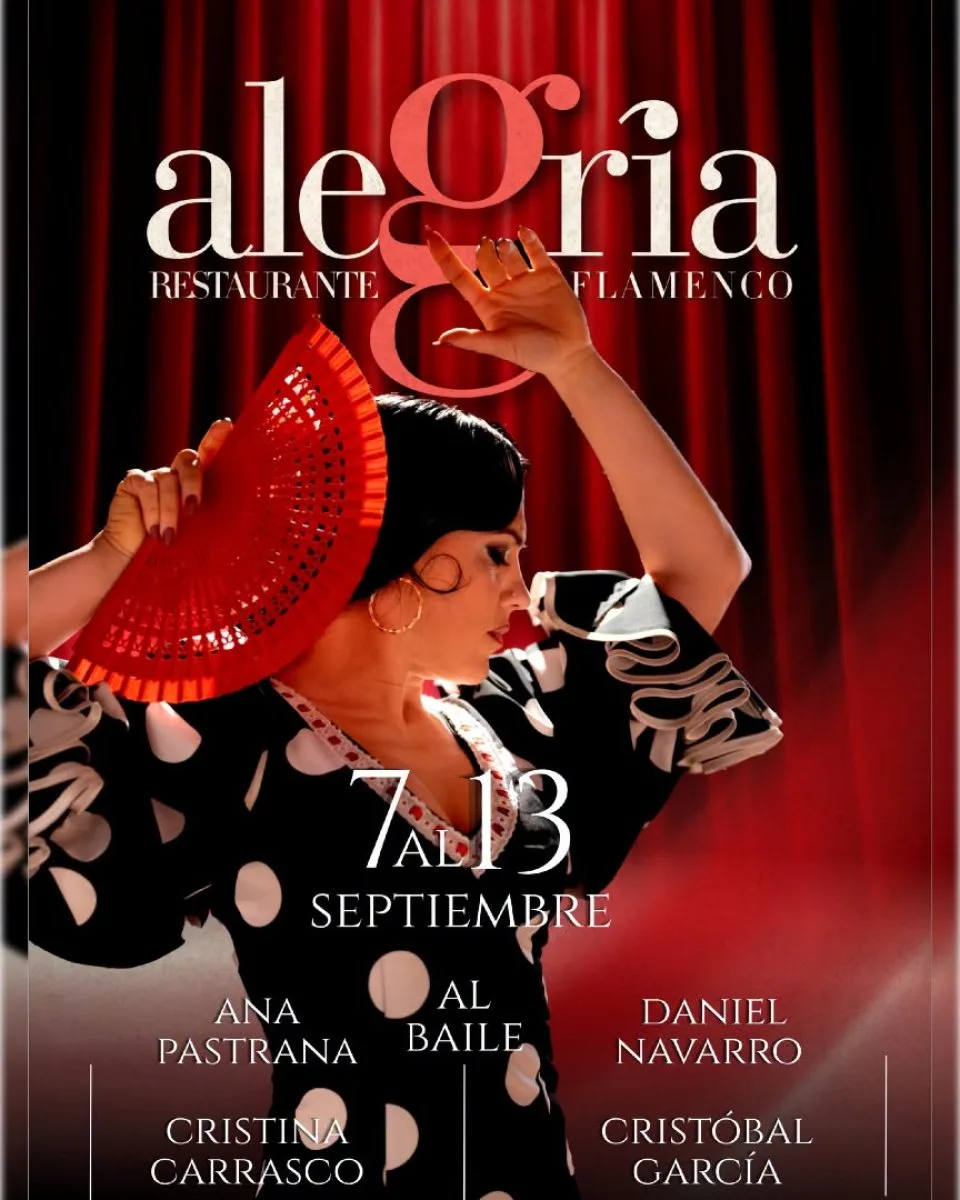 Flamenco Show (daily performance)