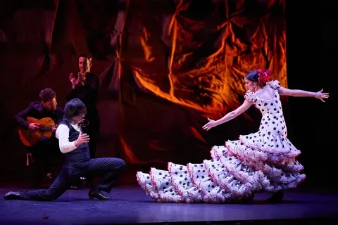 Flamenco heritage