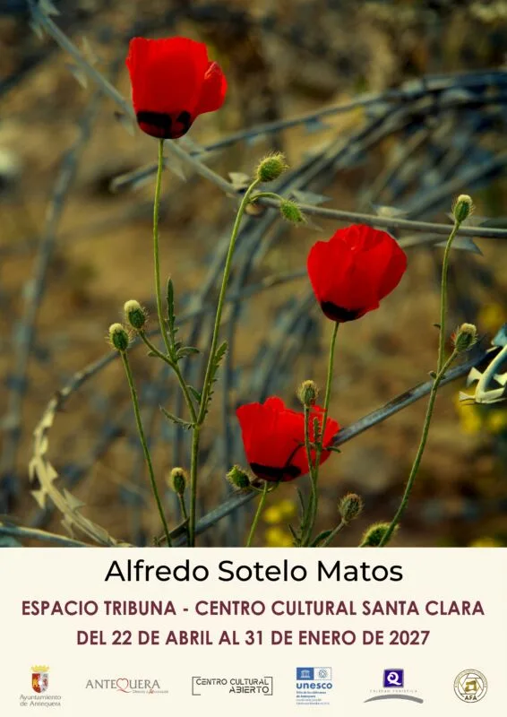 Exposición de Alfredo Sotelo Matos en el Espacio Tribuna