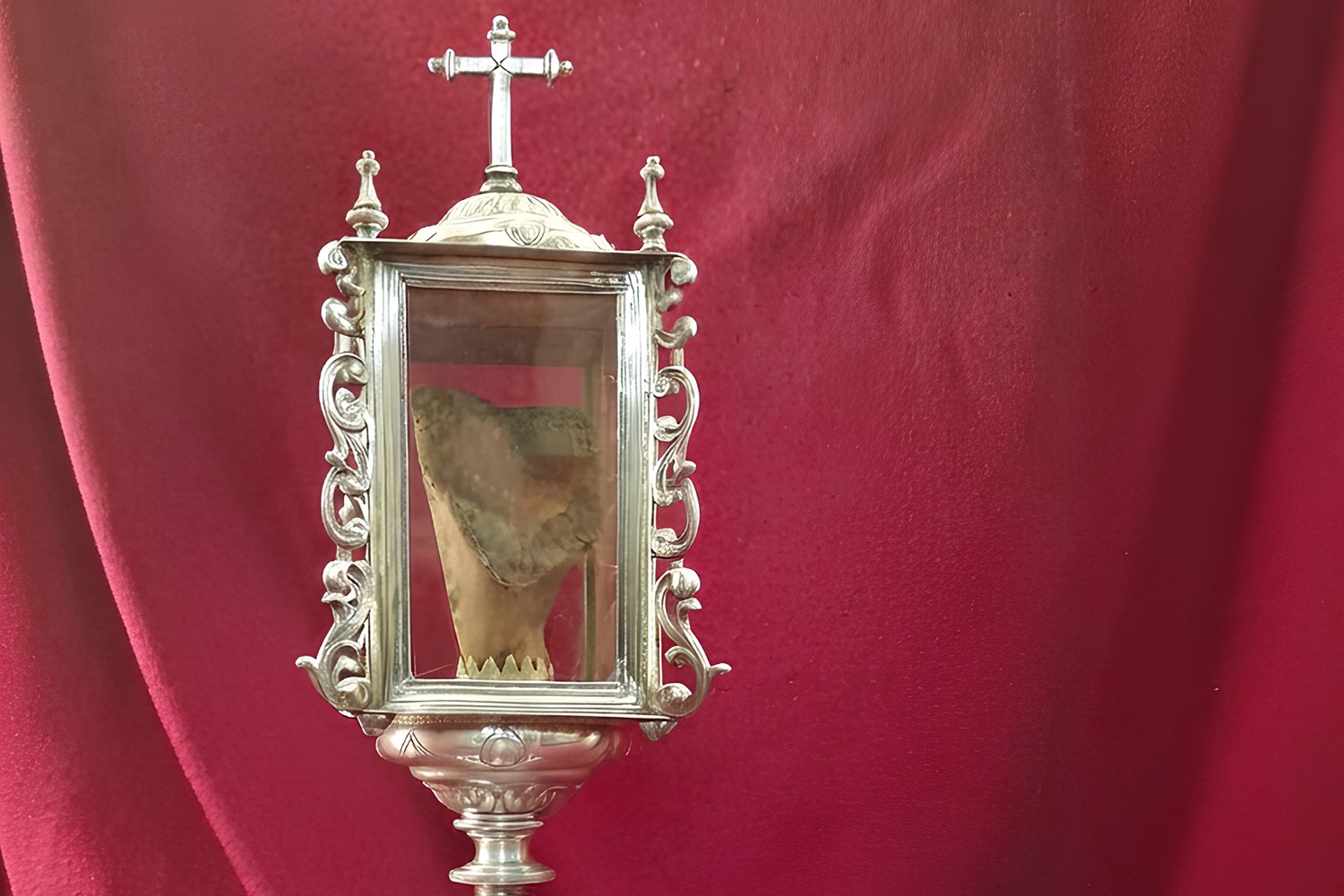 Imagen de la noticia: La reliquia de San Luis de Tolosa llegó a Málaga hace más de tres siglos