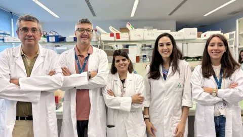Imagen de la noticia: La fragilidad y el deterioro cognitivo elevan el riesgo tras un infarto en mayores