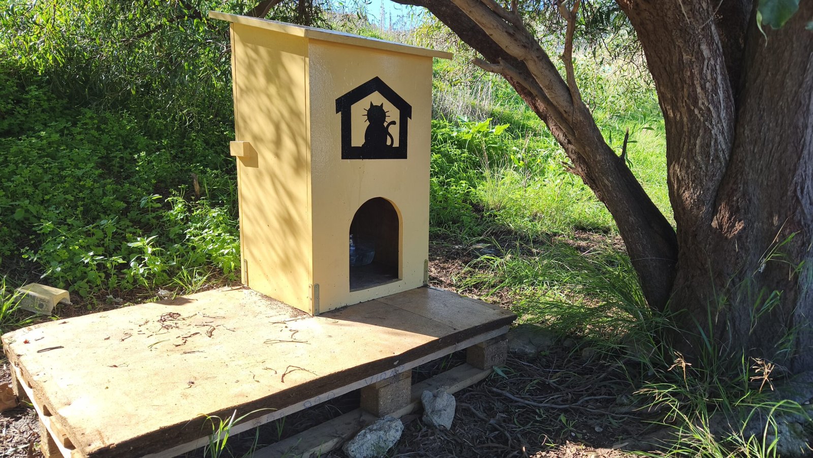 Imagen de la noticia: Alhaurín de la Torre supera el 80% de gatos esterilizados en su programa de colonias felinas