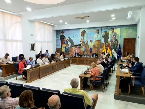 Imagen de la noticia: Rincón de la Victoria pide priorizar la llegada del Metro al municipio