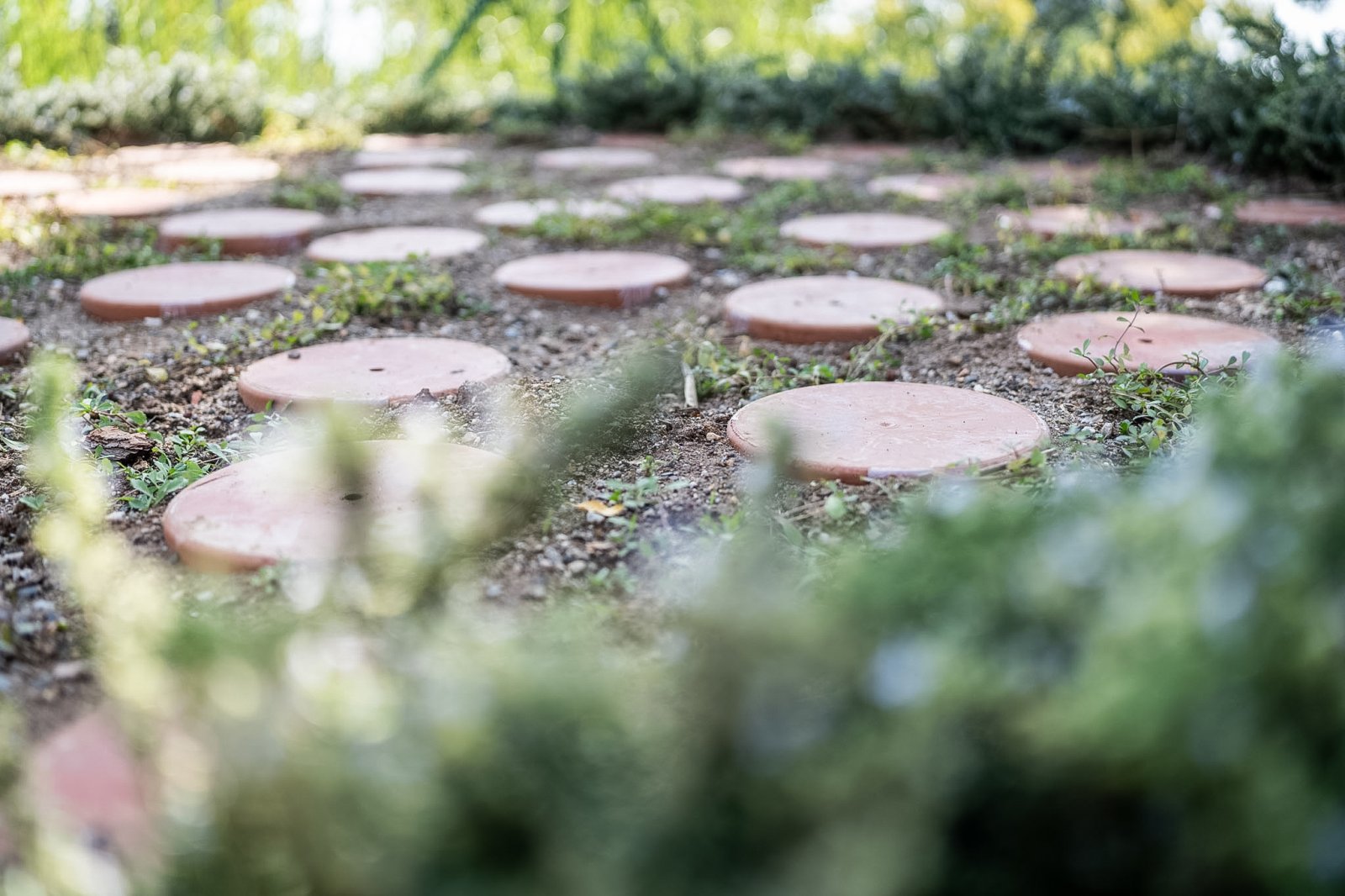Imagen de la noticia: Parcemasa abre en San Gabriel un jardín para las pérdidas perinatales