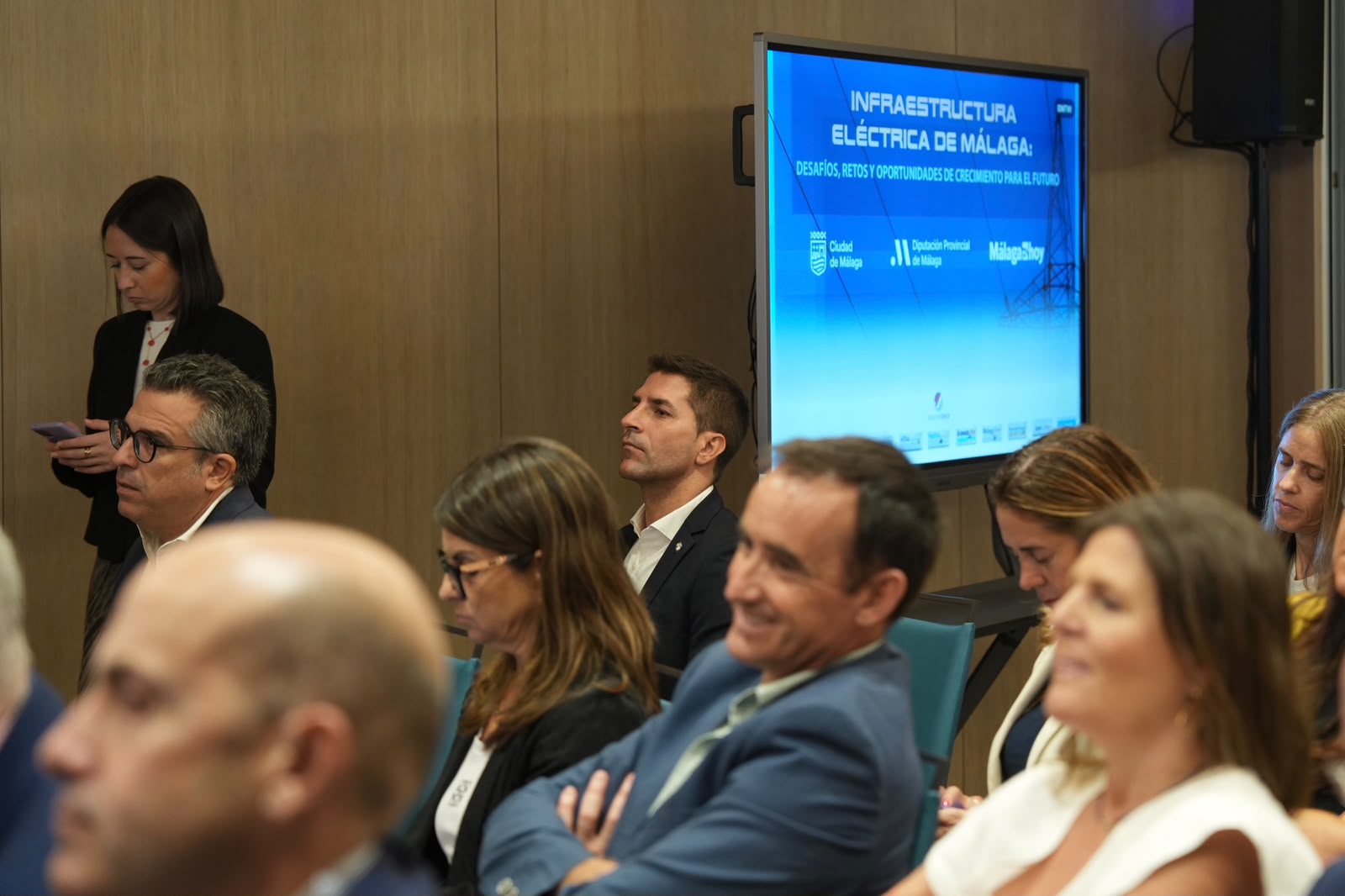 Imagen de la noticia: Casares reclama más infraestructura eléctrica y mejor conectividad en Málaga