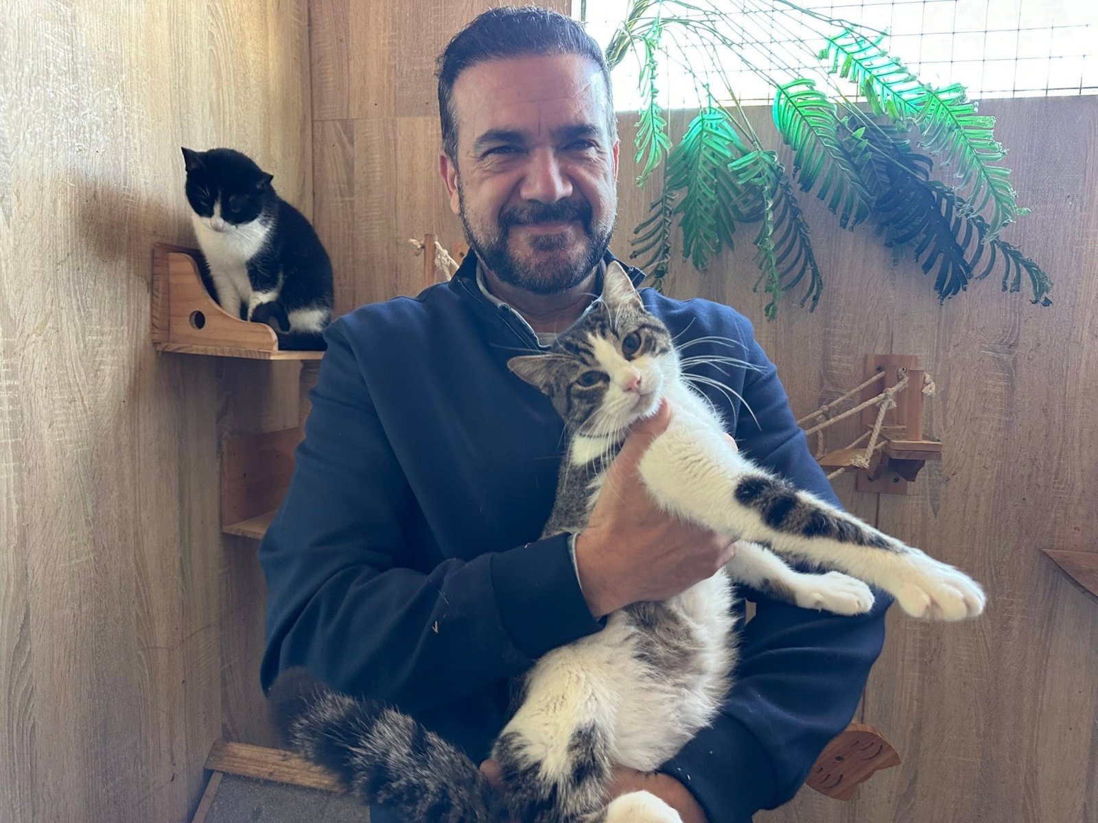 Imagen de la noticia: Fuengirola mantiene la adopción gratuita de mascotas para empadronados