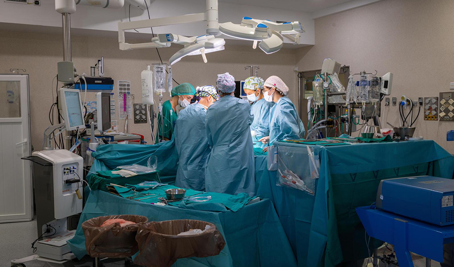 Imagen de la noticia: Extirpan en Málaga un tumor cardíaco de 11 centímetros a una paciente