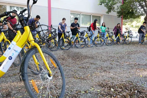 Imagen de la noticia: La UMA entrega 40 bicicletas de préstamo gratuito para el curso 2026-2027
