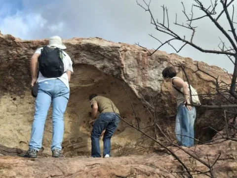 Image for the story: Around thirty people visit the cave paintings of Laja Prieta and El Mijo in Álora