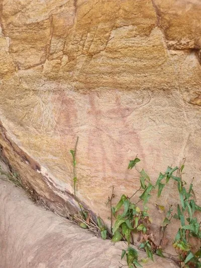 Image for the story: Around thirty people visit the cave paintings of Laja Prieta and El Mijo in Álora