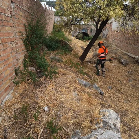 Imagen de la noticia: Alhaurín de la Torre refuerza la limpieza de arroyos ante la llegada de lluvias intensas