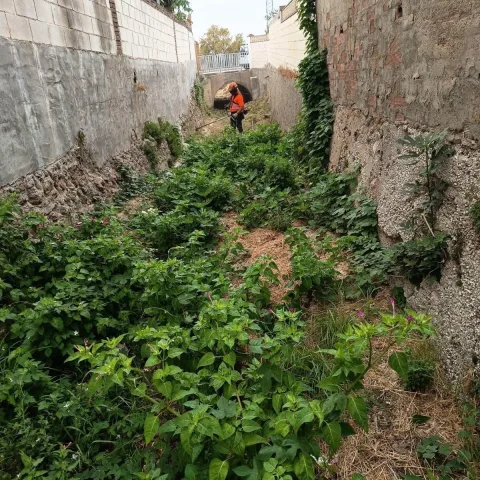Imagen de la noticia: Alhaurín de la Torre refuerza la limpieza de arroyos ante la llegada de lluvias intensas