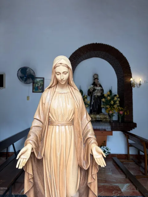 Image for the story: The Virgen Peregrina visits the sick in Pujerra and Igualeja