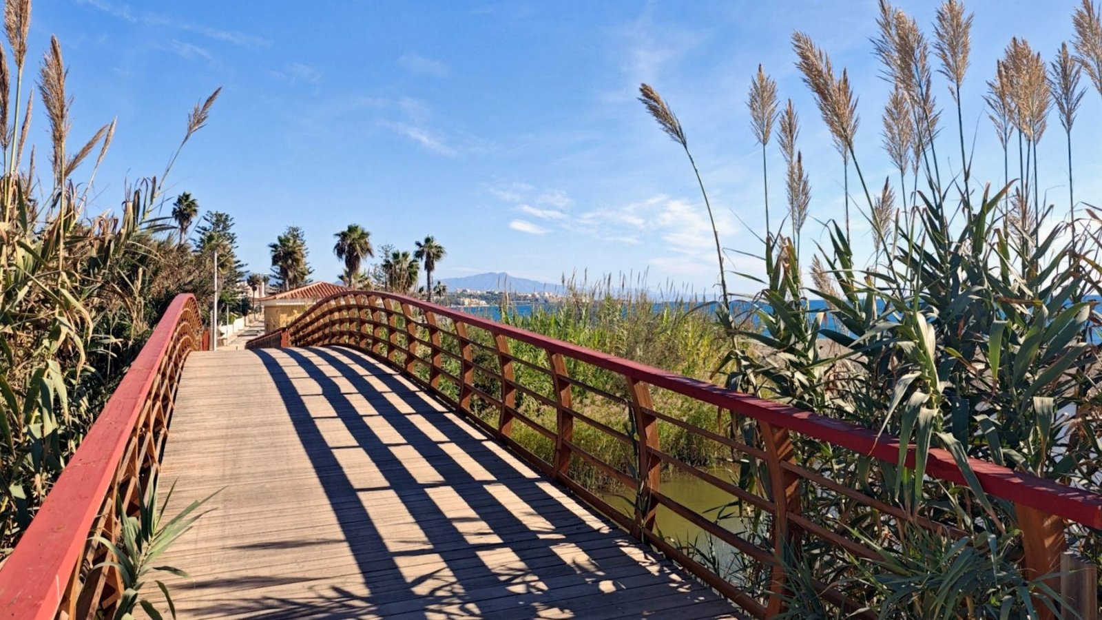 Imagen de la noticia: Estepona adjudica 162 farolas solares para siete zonas del corredor litoral