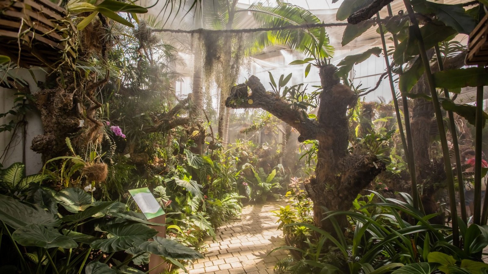 Imagen de la noticia: El Orquidario de Estepona estrena una instalación que convierte las orquídeas en música en directo