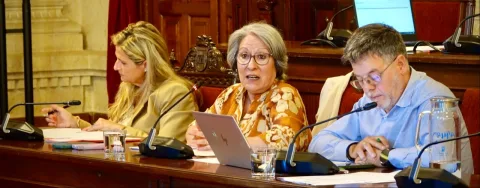 Imagen de la noticia: El PSOE acusa al PP de dejar en «números rojos» a los comerciantes de Lagunillas por las obras