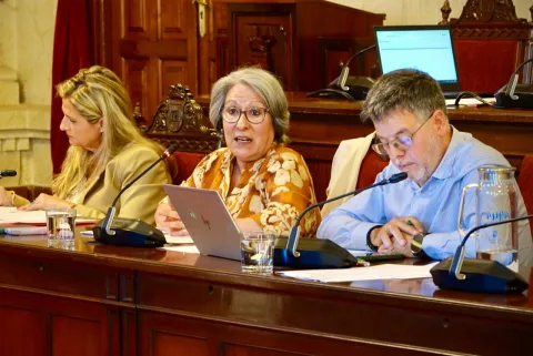 Imagen de la noticia: El PSOE acusa al PP de dejar en «números rojos» a los comerciantes de Lagunillas por las obras