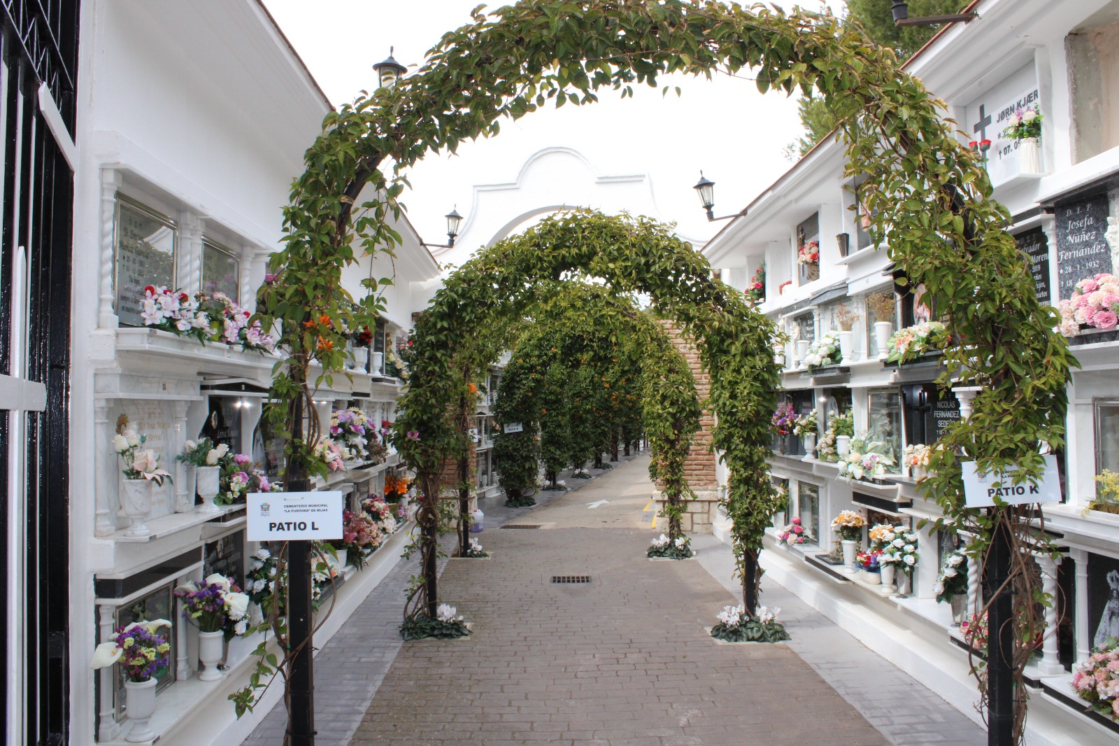 Calle central de un cementerio con nichos blancos a ambos lados, decorados con flores y arcos de vegetación.