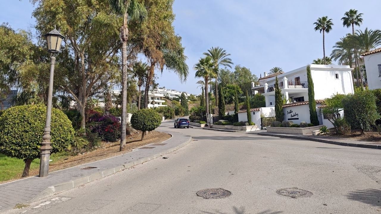Una calle asfaltada curva con acera, farola, palmeras y setos, y casas blancas a la derecha.